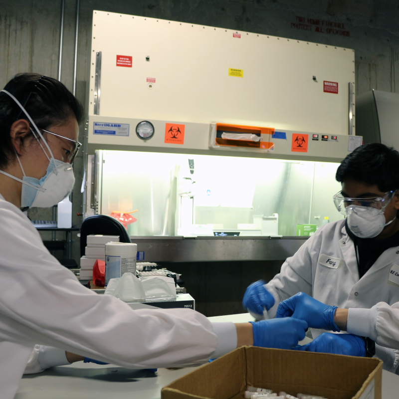 Two researchers in personal protective equipment working in a lab