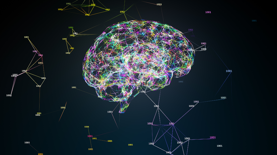 computer generated wireframe model of a human brain