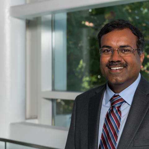 Srinivas Aluru's profile picture