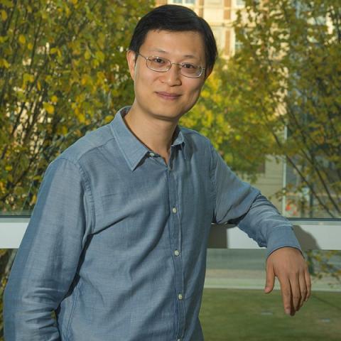 Chris Gu's profile picture